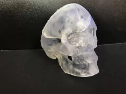 3D Model of an open Skull