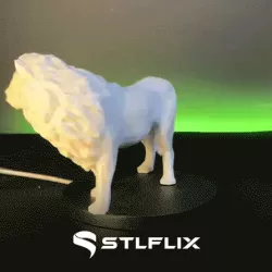 African Animals Low Poly