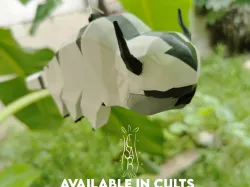 Appa The last airbender/Avatar the legend of aang