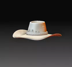 Aussie hat 2
