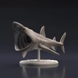 Basking Shark