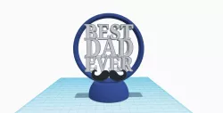 Best Dad Ever Decor Stand Trophy Reward for Father's Day Gift