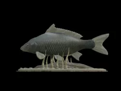 big carp underwater statue detailed texture for 3d printing