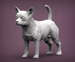 chihuahua 3D print model