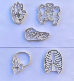 Cookie cutter Human bones x5
