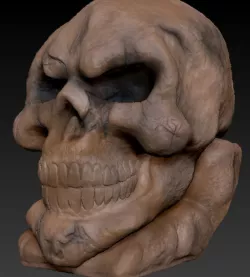 cranium