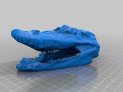 crocodile head