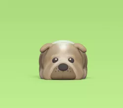 Cute Shar Pei