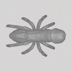 DickSpider