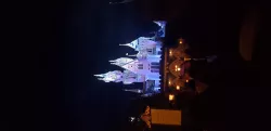 Disneyland Castle