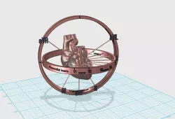 ECG 3D Visualizer