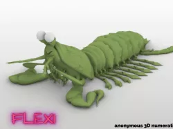 FLEXI Stomatopoda-Langosta Mantis