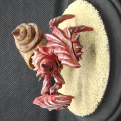 Giant Hermit Crab, Miniature