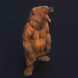 Grizzly Bear