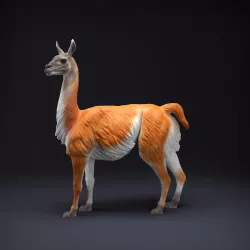 Guanaco