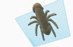 Halloween Dick Spider
