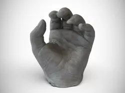 Hollies hands 3D scanned