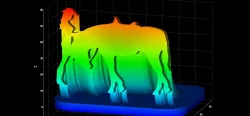 Horse and lady - keyhanger and extrude