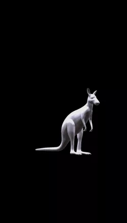 Kangaroo