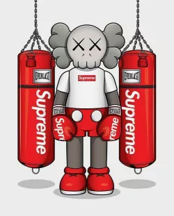 Kaws Box Supreme