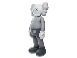 Kaws Companion