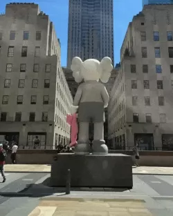 Kaws Share