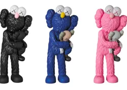 kaws Take
