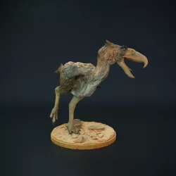 Kelenken