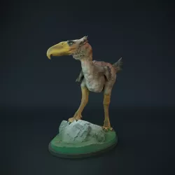 Kelenken standing