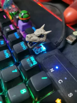 Keycap Aerodactyl skull cranium