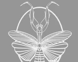 Mantis Trellis