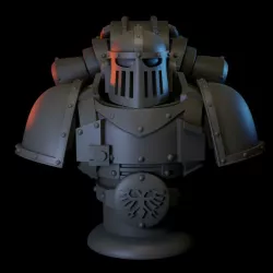 MKII Marines Bust