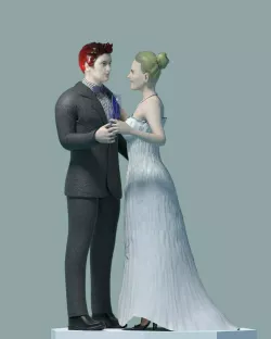 Newlywed couple toasting champagne