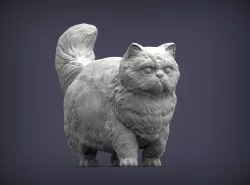 Persian cat 3D print model