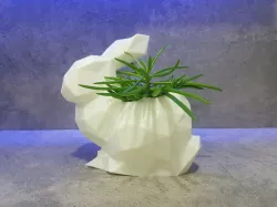 Rabbit Pot low poly