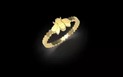 Ring bee ring insect