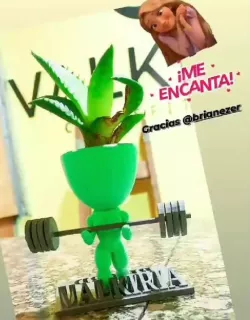 Robert gym bicep curl bicep curl flowerpot exercise