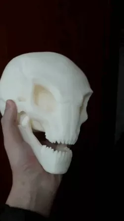 Sectoid Alien Skull XCOM 2 Inspired