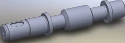 Shaft Worm