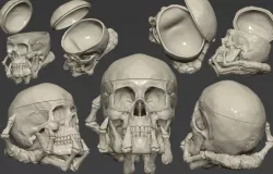 Skull, Bombonera, Gothic, Halloween