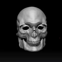 Skull Mask 3D