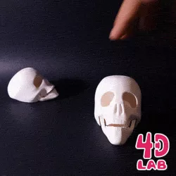 SKULL (print-in-place, mouth opening)