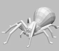 Spider