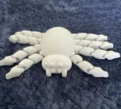 Spider