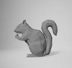 squirrel