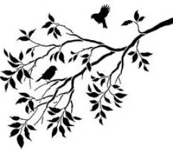 Stencil