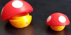 Super Mario Mushroom