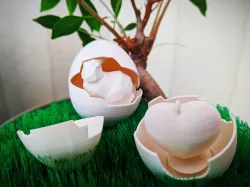 Surprising Egg (Prints Inside)