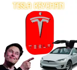 Tesla Keychain