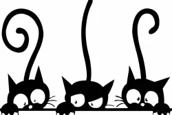 Three cats